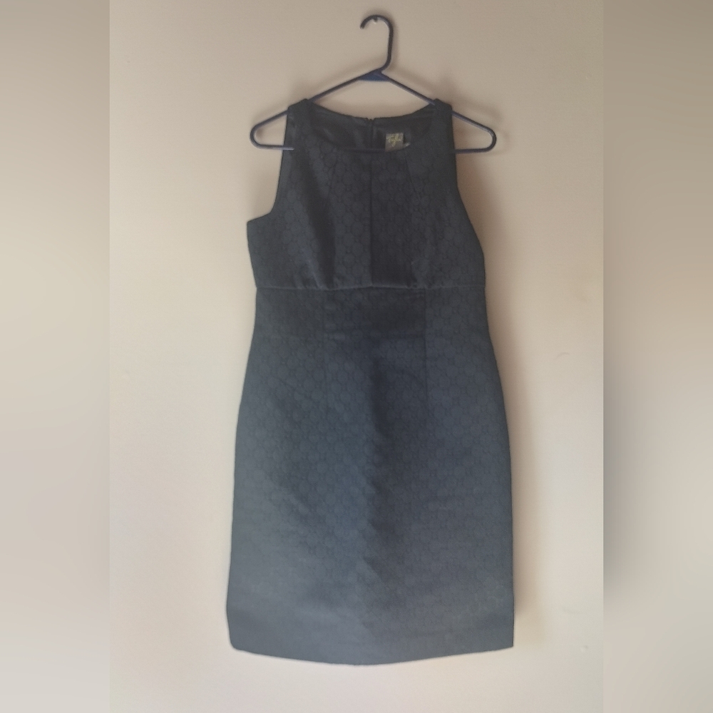 Taylors Size 10 Black Dress